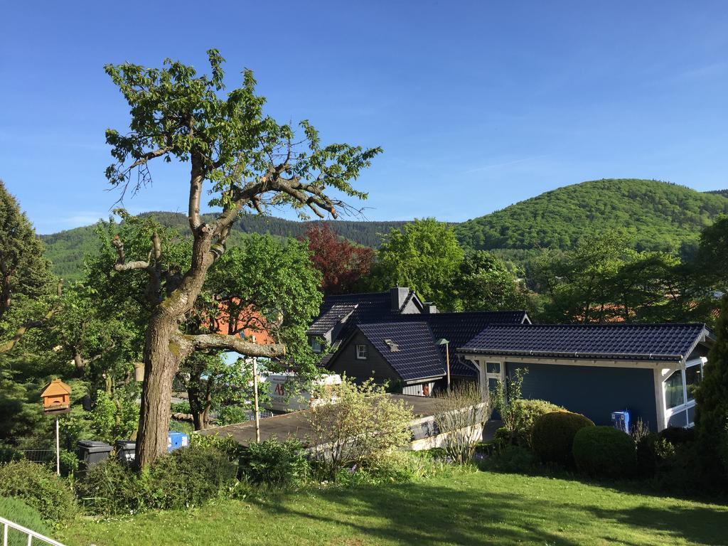 Ferienhaus Goethestrasse Bad Harzburg Extérieur photo